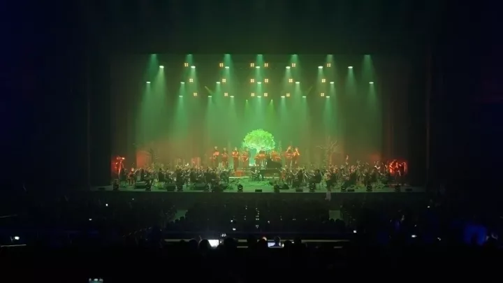 Фотография  для Оркестр CAGMO. Симфония «Король и шут». Двойной концерт