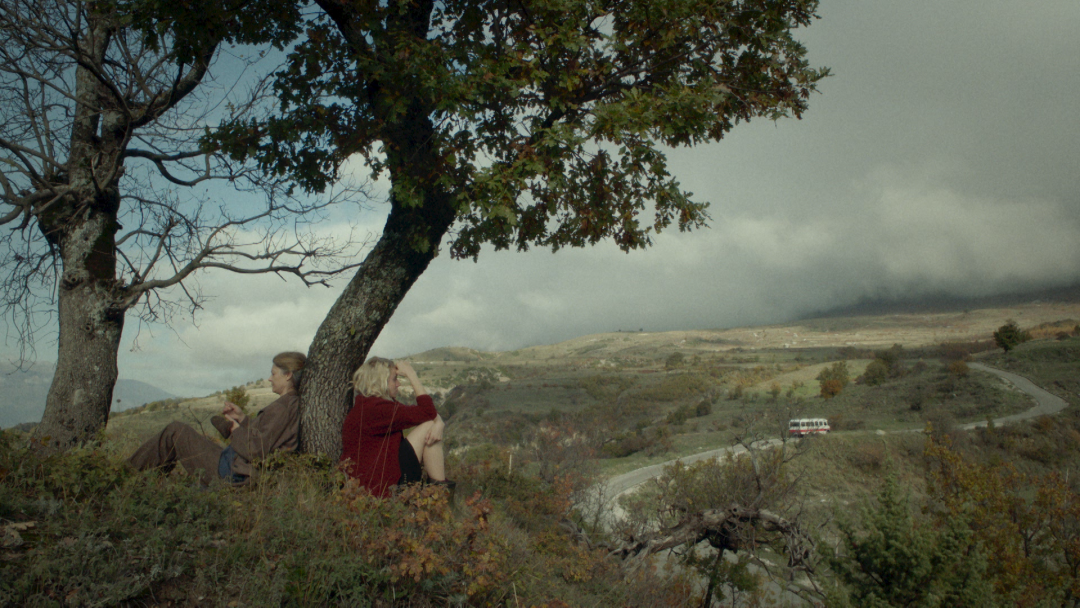 Фотография  для Ловушка для кролика