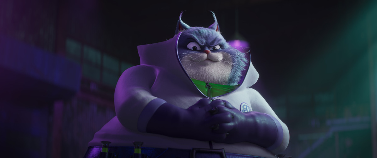 Фотография  для Чарли Чудо-пёс