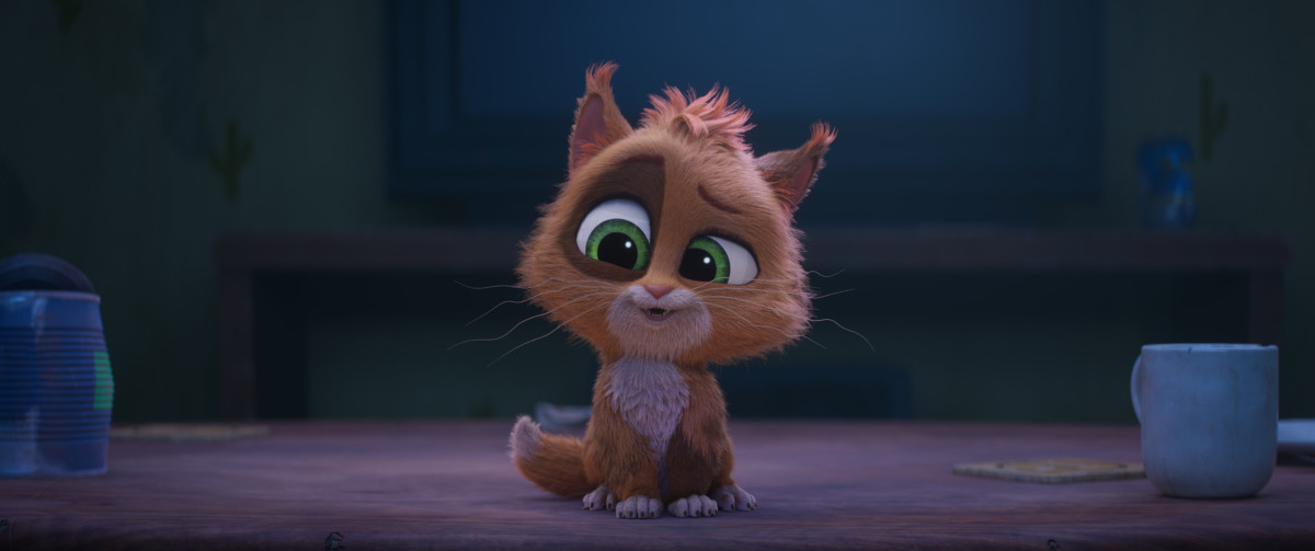 Фотография  для Чарли Чудо-пёс