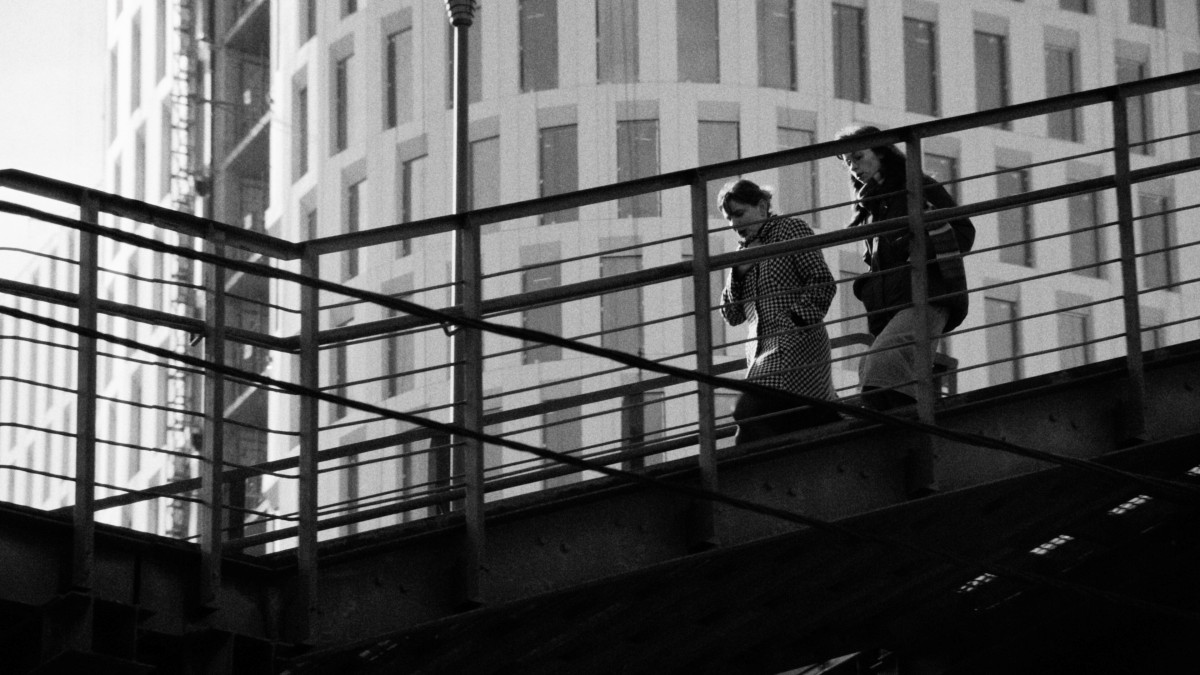 Фотография  для Картины дружеских связей