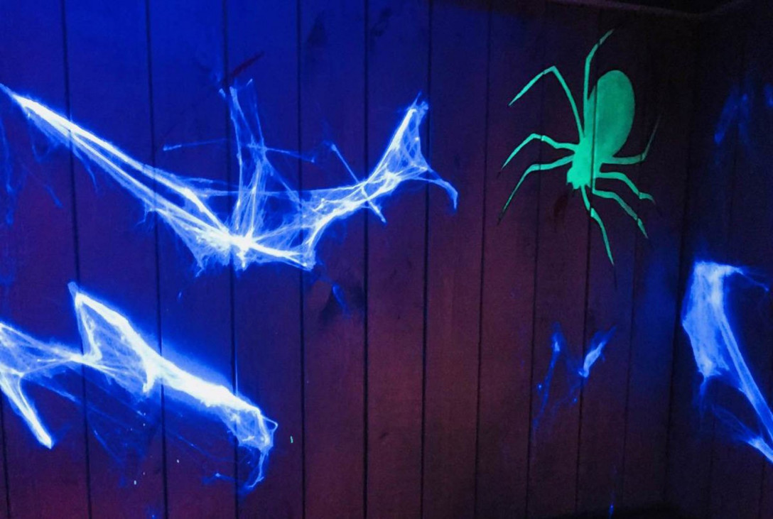 Фотография  для Зверь