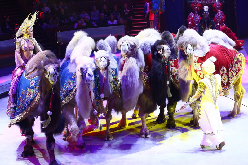 Фотография  для Песчаная сказка