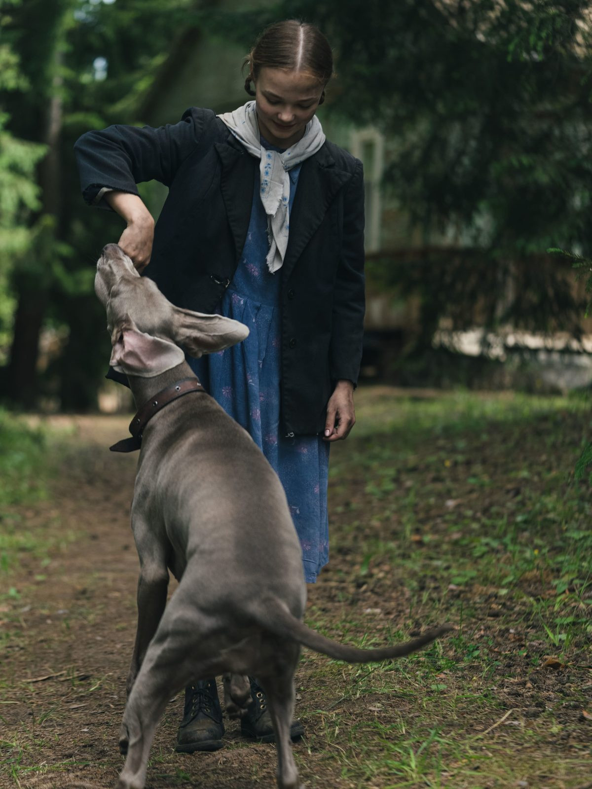 Фотография  для Каруза