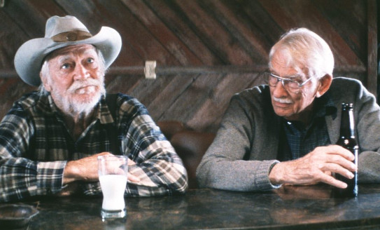 Фотография  для Простая история