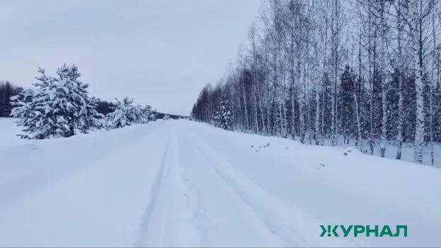 Снег затрудняет возвращение домой воспитанников интерната в Нижнем Новгороде