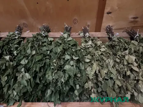 Тарифы на посещение &laquo;Нижегородских бань&raquo; увеличились на 20 рублей