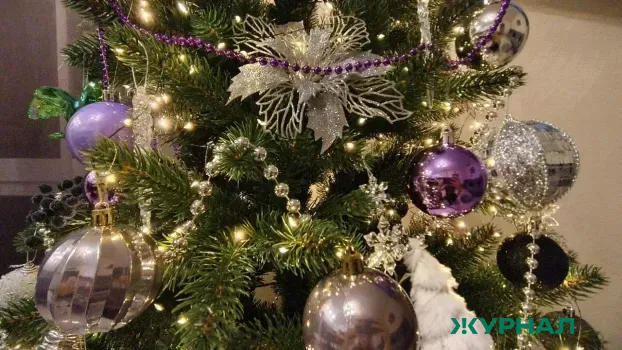 Единая Россия исполнила мечту 7-летнего Кости в рамках акции &laquo;Ёлка желаний&raquo;