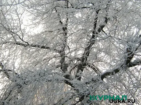 Морозы до -25°С ожидаются в Нижнем Новгороде в конце января