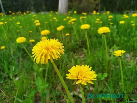 Весна 2026 года в Нижегородской области может наступить позже обычного