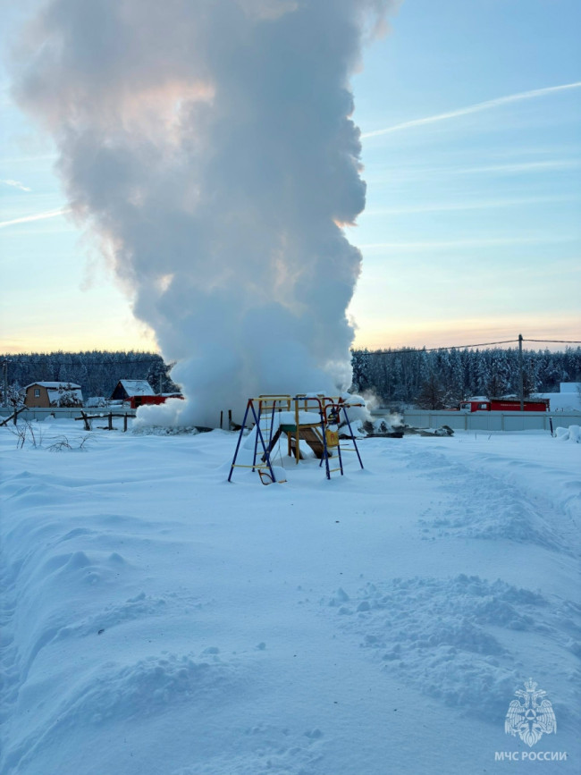 Курятник сгорел в Нецепино из-за неисправности дымовой трубы