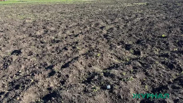 В Нижнем Новгороде выставлены на продажу два промышленных участка