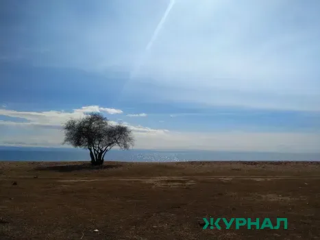 Экологическое воспитание молодежи в Нижнем Новгороде: итоги заседания Думы