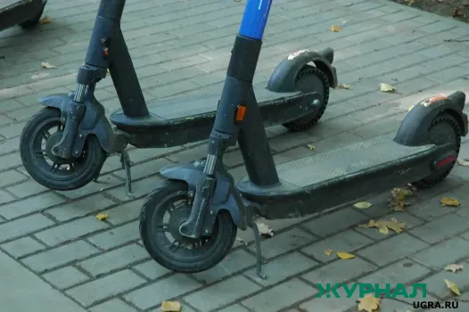 Конфискация 1890 самокатов в Нижнем Новгороде за нарушения парковки