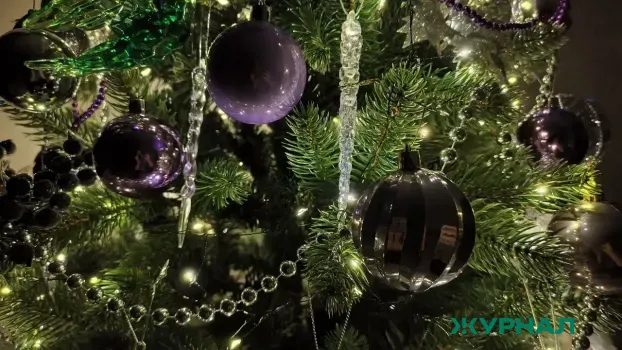 Конкурс новогоднего оформления образовательных учреждений завершился в Сормовском районе