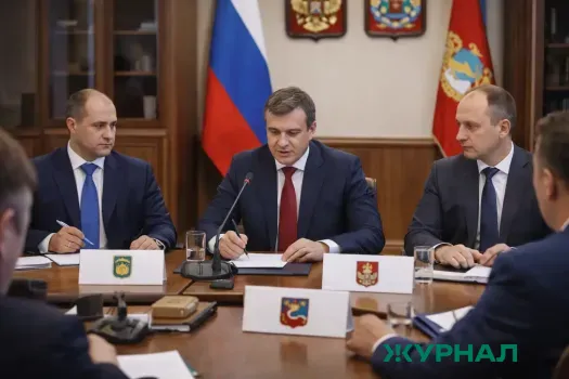 Кандидаты от Кстовского района представили проекты в Молодежной палате Нижнего Новгорода