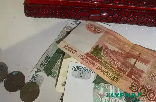 Дом на Большой Покровской улице в Нижнем Новгороде выставят на аукцион