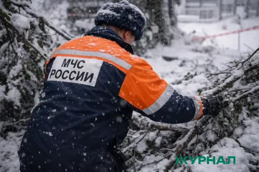 Пожар на деревообрабатывающем предприятии в Тонкино уничтожил пилораму