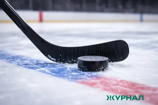 ХК &laquo;Торпедо&raquo; проиграл &laquo;Сибири&raquo; в домашнем матче со счетом 2:4