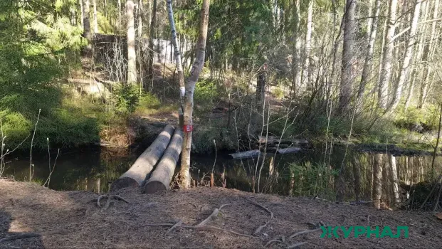 Охранный паспорт для болота Келейное Кривое утвердят в Семеновском округе