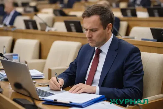 Депутаты Гордумы Нижнего Новгорода утвердили новый порядок отчетности