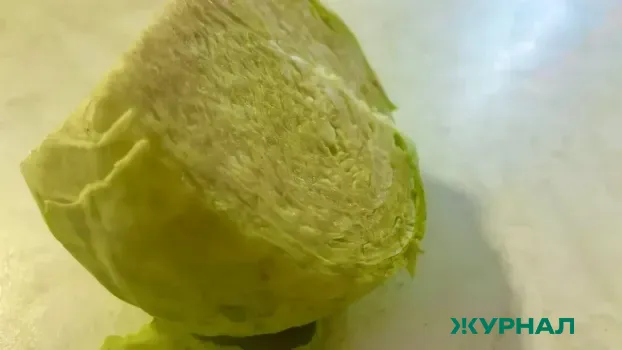 Светлана Старова объяснила, как сохранить витамины в консервированных овощах