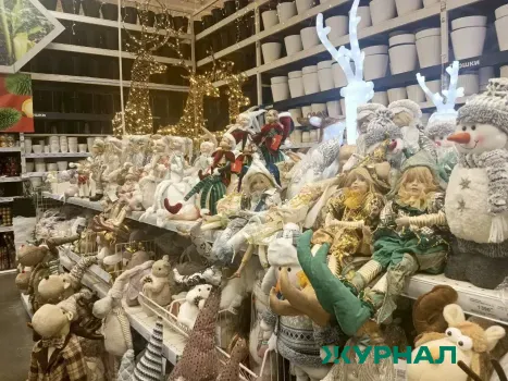 Рост жалоб нижегородцев в Роспотребнадзор: связь и торговля в лидерах