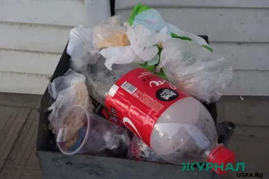 Ущерб от свалки в Дальнеконстантиновском округе превысил 23 миллиона рублей