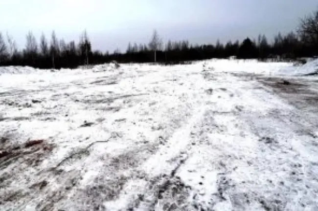 Нижегородское предприятие обязано убрать отходы с сельхозземель