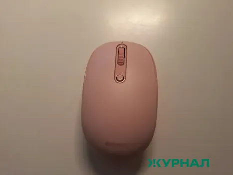 Журналисты Поволжья участвуют в конкурсе &laquo;Вместе в цифровое будущее&raquo;