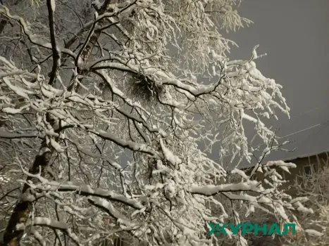 Нижегородские энергетики повышают готовность к сильным морозам и непогоде