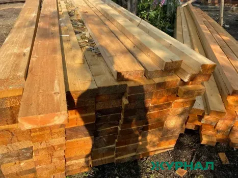 Экспорт лесоматериалов из Нижегородской области достиг 10,7 тысяч тонн