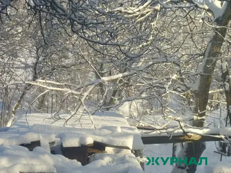 Нижегородцев ожидает потепление и снегопады на следующей неделе