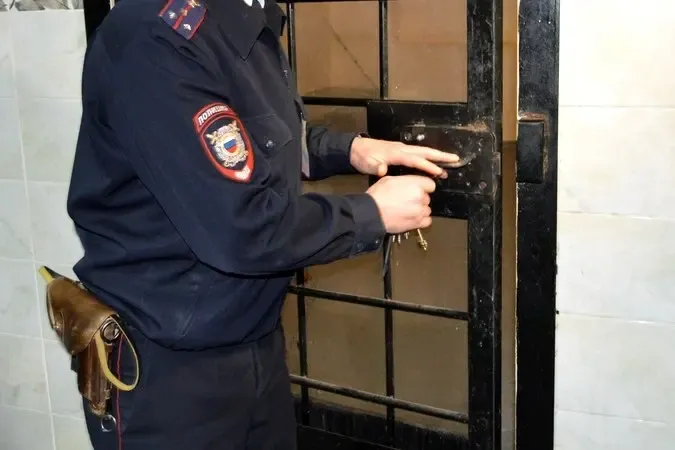 Жители Тамбова получили тюремные сроки за нападение на полицейского в Нижегородской области