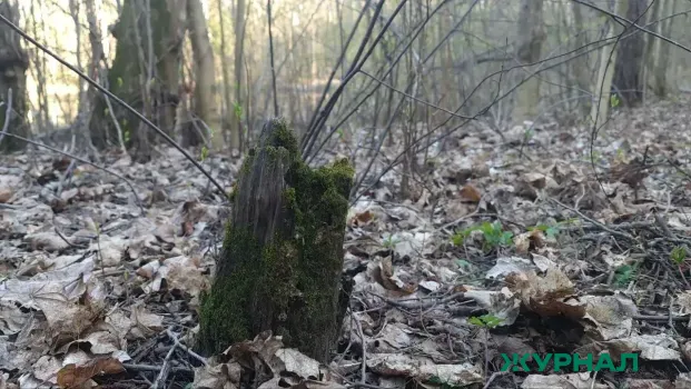 Подготовка к пожароопасному сезону началась в Нижегородской области