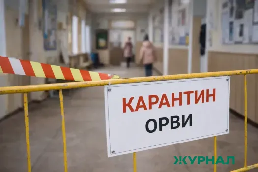 Карантин по гриппу: закрыты четыре школы и два детсада в Нижегородской области