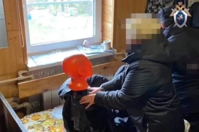 Убийство матери-инвалида: 53-летняя женщина предстанет перед судом в Нижегородской области