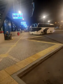 Новый автобусный маршрут свяжет Нижний Новгород и Йошкар-Олу