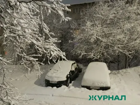 Снегопад, который обрушился на Москву, доберется до Нижегородской области 20 февраля