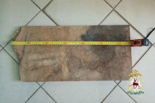 Мужчина из Большого Болдино ударил сожительницу доской во время конфликта