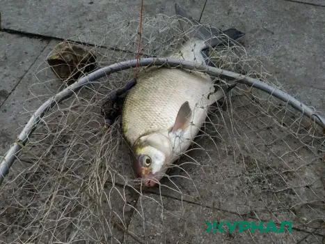 Фестиваль &laquo;Чкаловская рыбалка&raquo; отменен из-за плохой погоды