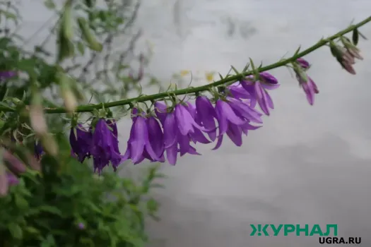 Прогноз погоды на март: Нижегородскую область ожидает меньше осадков и теплую погоду