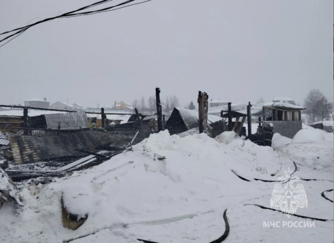 Пожар в Володарске: из-за неисправной электропроводки погибло 35 коров