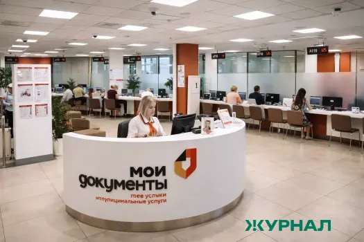 Нижегородские предприниматели получили свыше 111 тысяч услуг в МФЦ