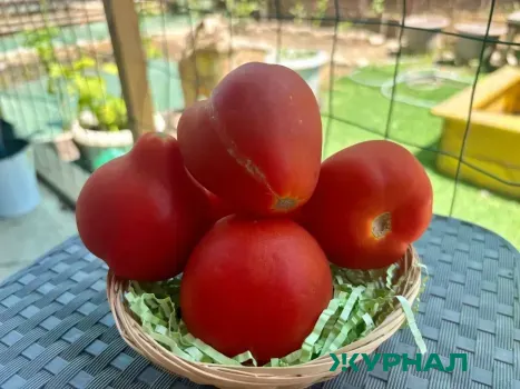 Медики предупреждают нижегородцев о рисках здоровья во время поста