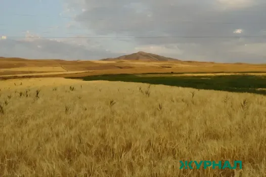 Посевные площади в Нижегородской области достигнут 1,04 млн га в 2026 году