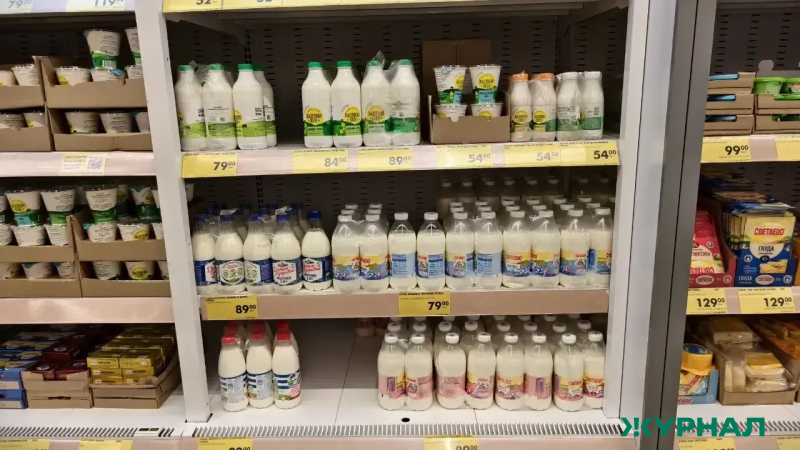 Россельхознадзор обнаружил нарушения у 23 производителей молока в Нижнем Новгороде