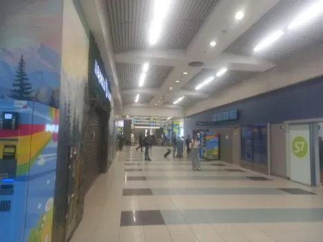 Нижегородцы остаются в Дубае из-за закрытия воздушного пространства ОАЭ