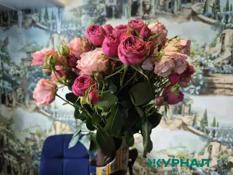 Нижегородцам сообщили о вредителе, угрожающем цветам перед 8 Марта