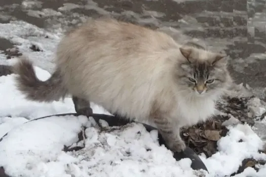 Плюсовая температура ожидается в Нижнем Новгороде в середине марта